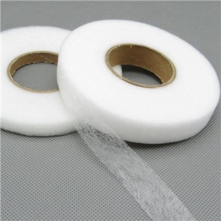 PA Hot Melt Adhesive Web Film